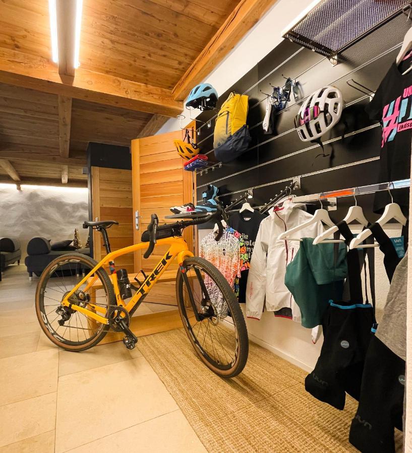 Alp Apartments Ski & Bike - Tourneuve5 Аоста Экстерьер фото