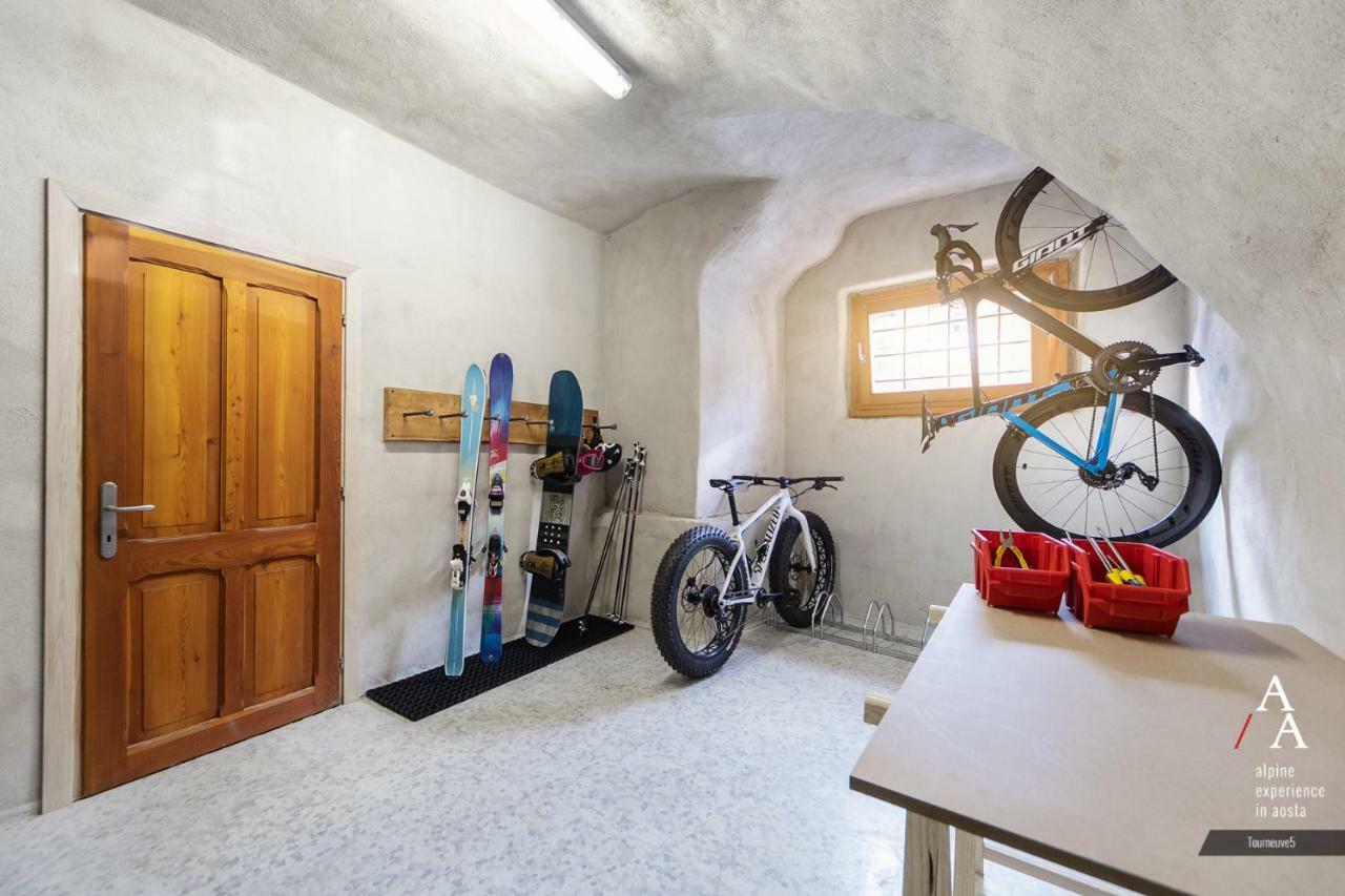Alp Apartments Ski & Bike - Tourneuve5 Аоста Экстерьер фото
