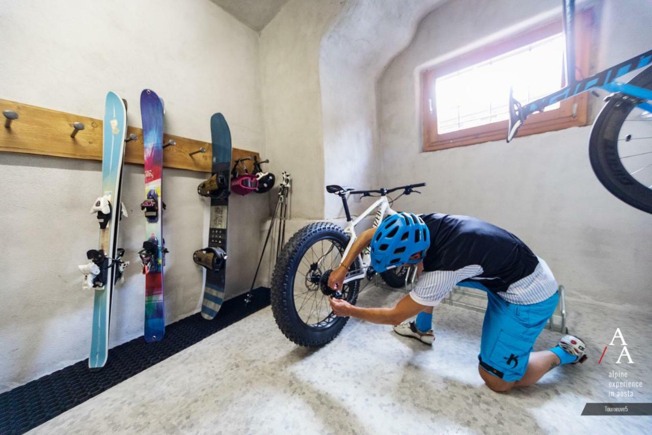 Alp Apartments Ski & Bike - Tourneuve5 Аоста Экстерьер фото